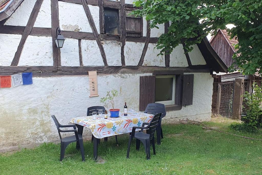 Romanswiller Le Berger Du Salzbachヴィラ エクステリア 写真
